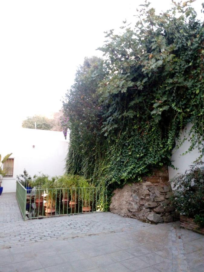 Gravina Comfort Tarifa Eksteriør billede